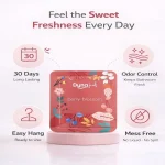 Dyna Fresh Air Freshener Pocket Feel The Freshness Berry Blossom Fragrance (Pack Of 10) - Image 2