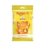 Dyna Fresh Air Freshener Pocket Feel The Freshness Citrus Fragrance (Pack Of 10) - Image 2