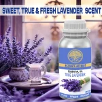 Ecomate Airmist Essential Oil Pure Lavender 500Ml - Image 6